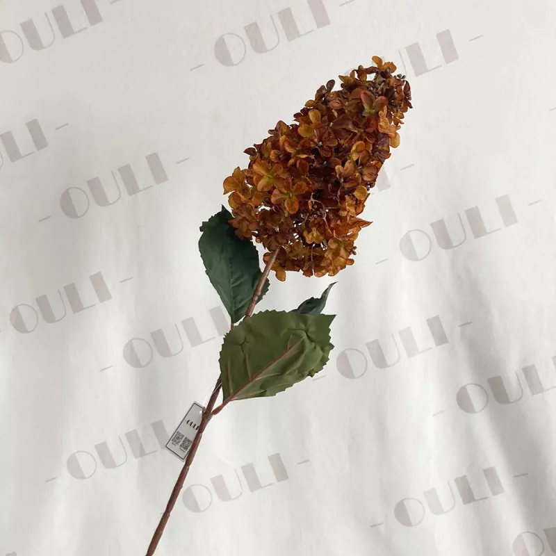 Kuivattu kosketus pagoda -silkki hydrangea